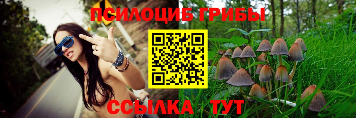 купить наркотики сайты  Вход с VPN  Псилоцибиновые грибы Psilocybe  Ростов Великий  Псилоцибиновые грибы Psilocybe 