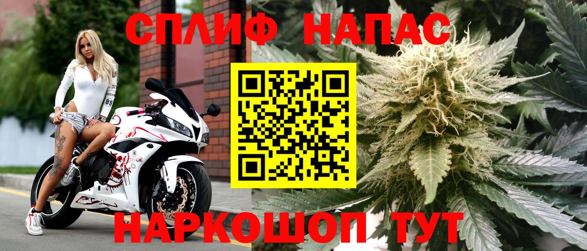 МАРИХУАНА гибрид Ростов Великий